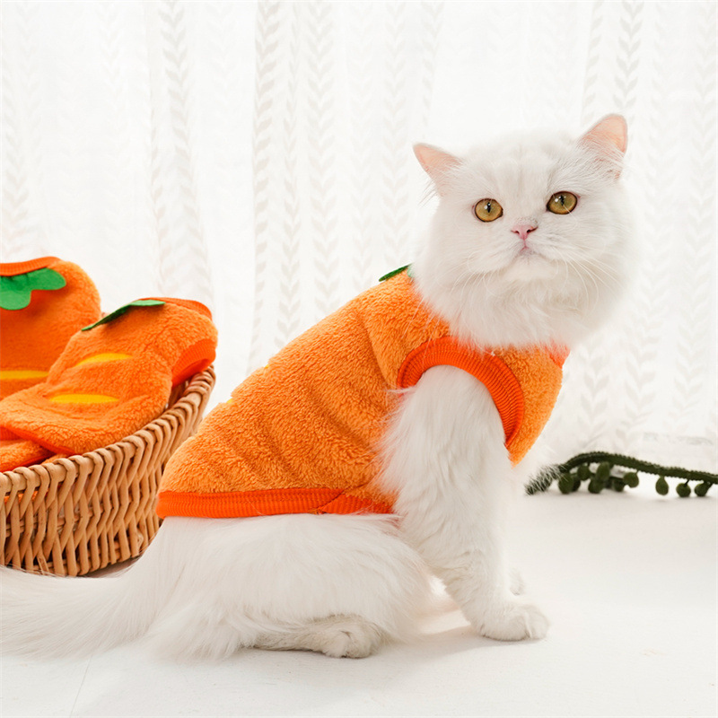 Pet Clothes Winter Warm Coats  - đánh giá và giá Winter Clothing Boys