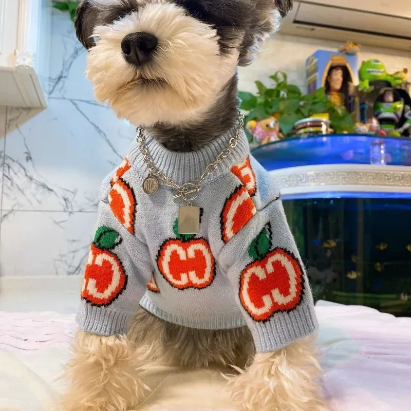 Letter Sweater Pet Dog Clothes - đánh giá và giá Winter Clothing Boys