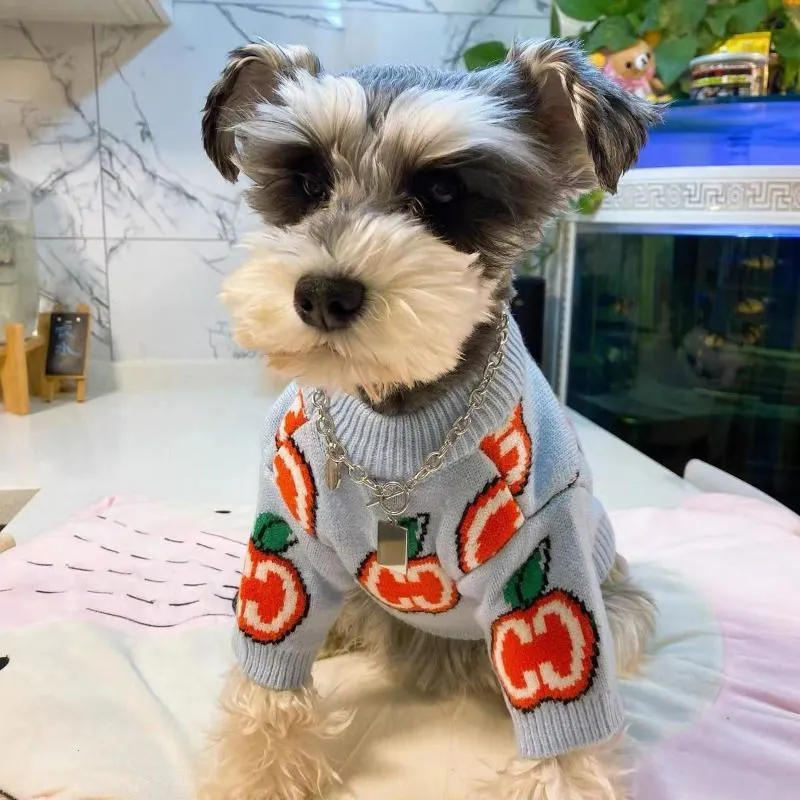 Letter Sweater Pet Dog Clothes - đánh giá và giá Winter Clothing Boys
