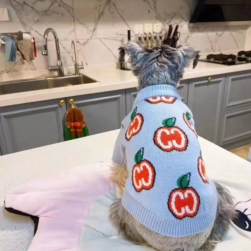 Letter Sweater Pet Dog Clothes - đánh giá và giá Winter Clothing Boys