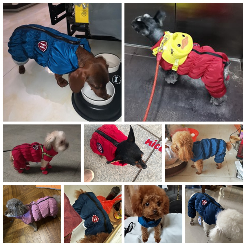 Dây Kéo Tuyết Unisex Chó Chống - đánh giá và giá Winter Clothing 1 Year Old