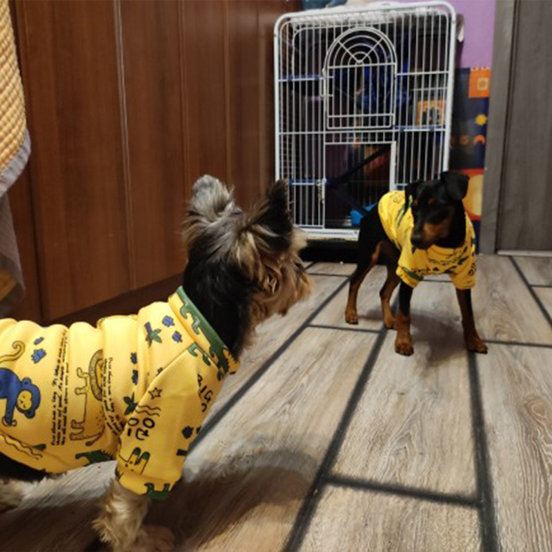 Xs Quần Áo Cho Chó Dành Cho Ch - đánh giá và giá Winter Clothing Boys